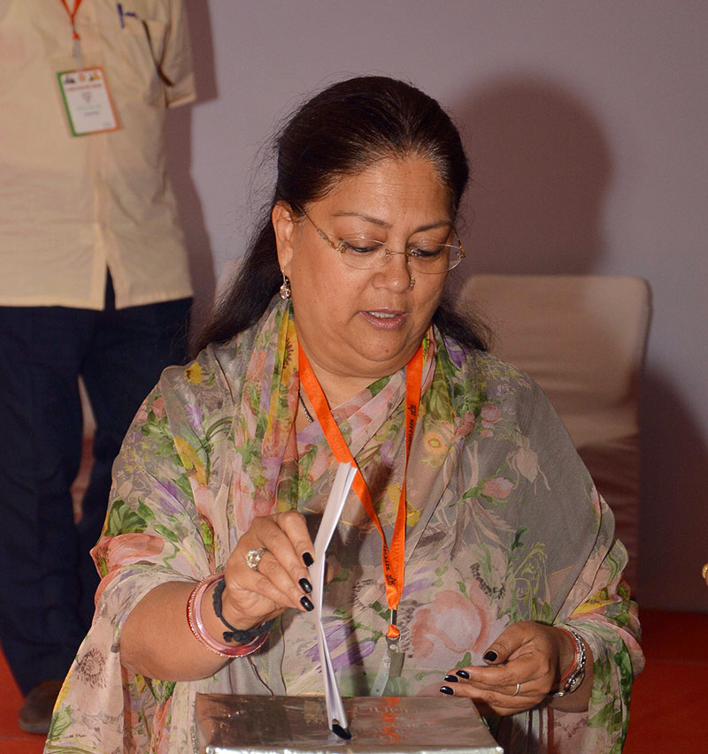 cm-rs-voting-05-11june2016