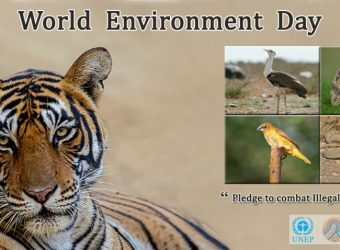 world-environment-day