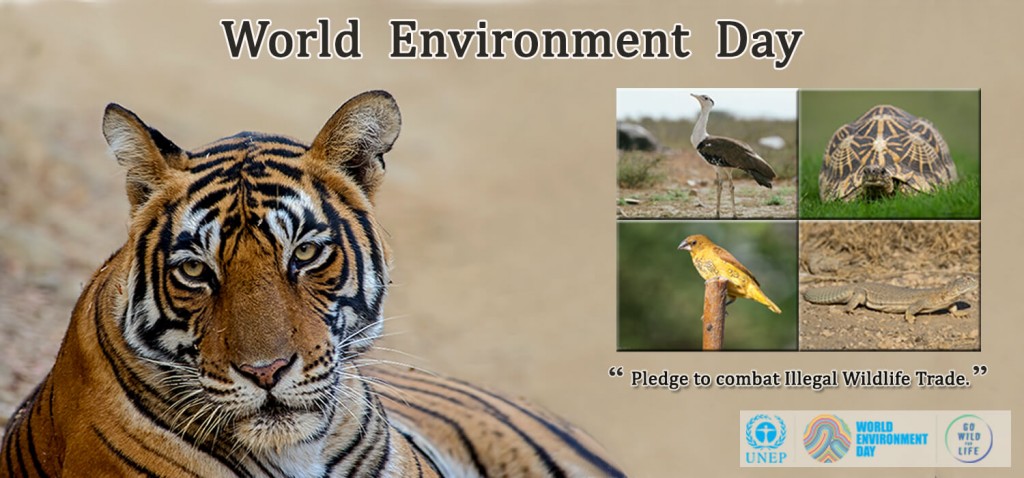 world-environment-day05062016