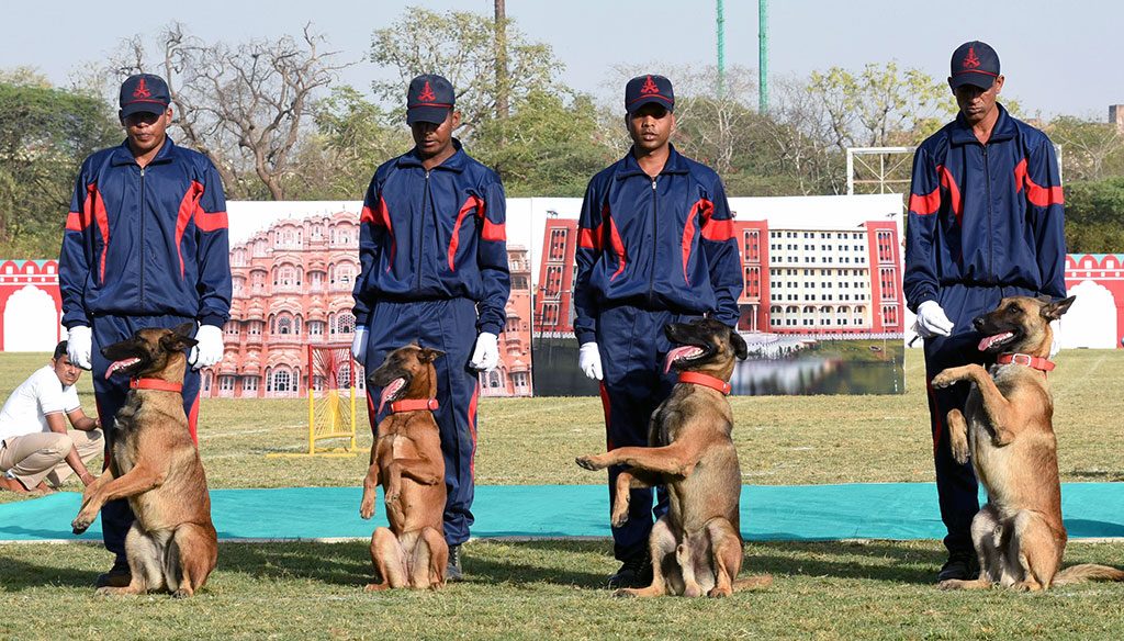 Rajasthan Diwas 2017 Dog Show