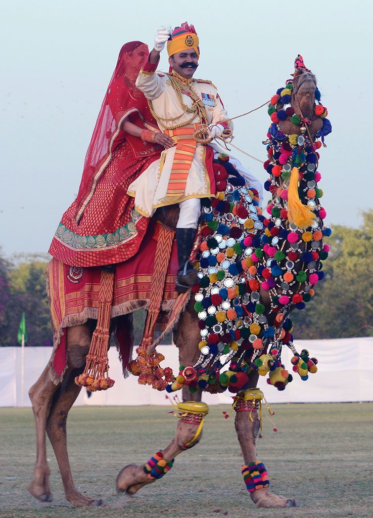 Camel Ride on Rajasthan Diwas 2017