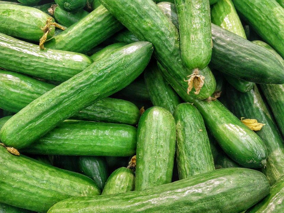 cucumbers 1081700_960_720