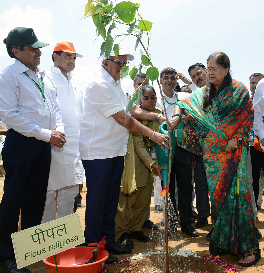 cm inaugurated van mahotsav by planting seeds CMP_3737