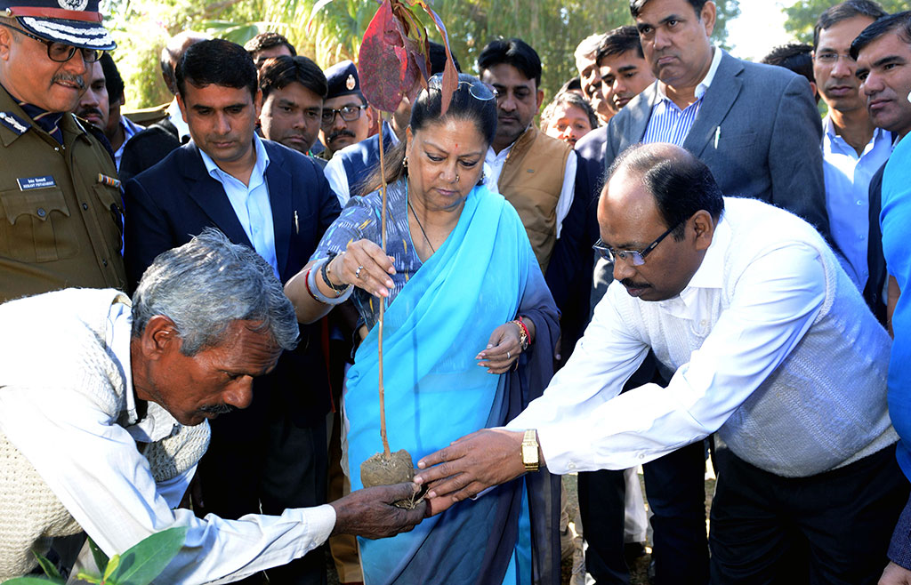 vasundhara-raje-tree-plantation-khetri-rajasthan-CMP_0115