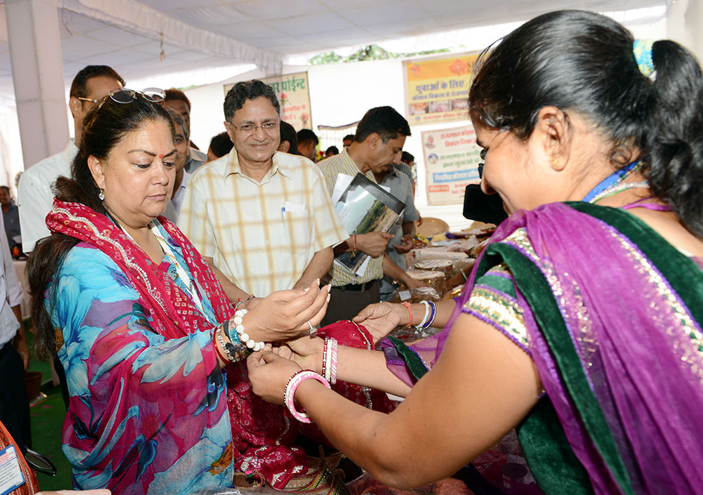 CM Vasundhara Raje, Rajasthan Government