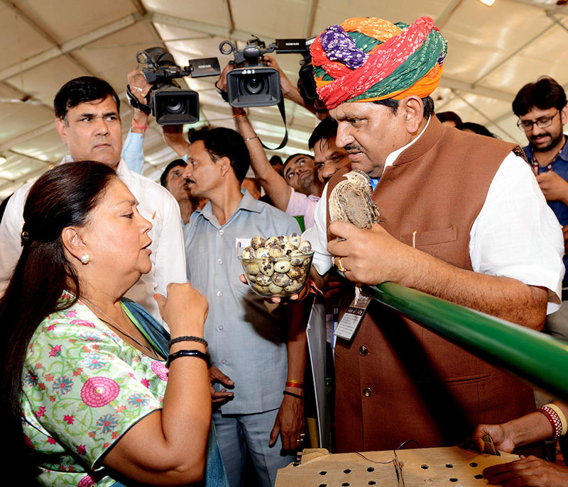 chief-minister-at-gram-rajasthanCMP_0732
